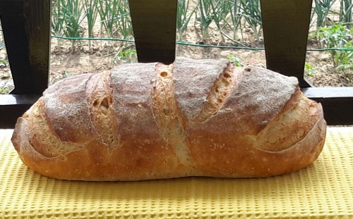 Fehér kenyér almakovásszal 2017.06.22-23